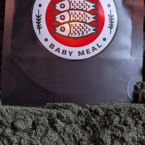 Medaka visvoer - Baby Meal