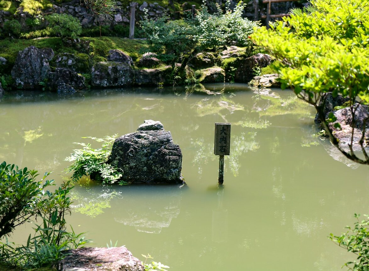 A serene pond surrounded by lush greenery.