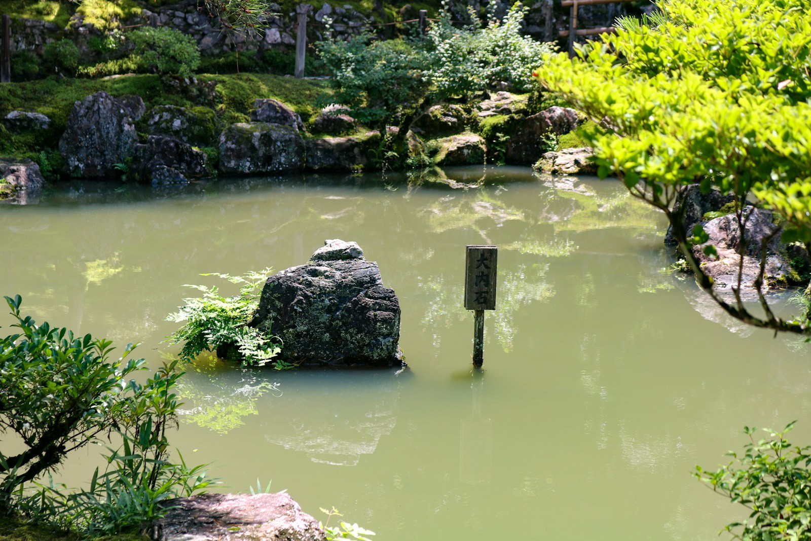 A serene pond surrounded by lush greenery.