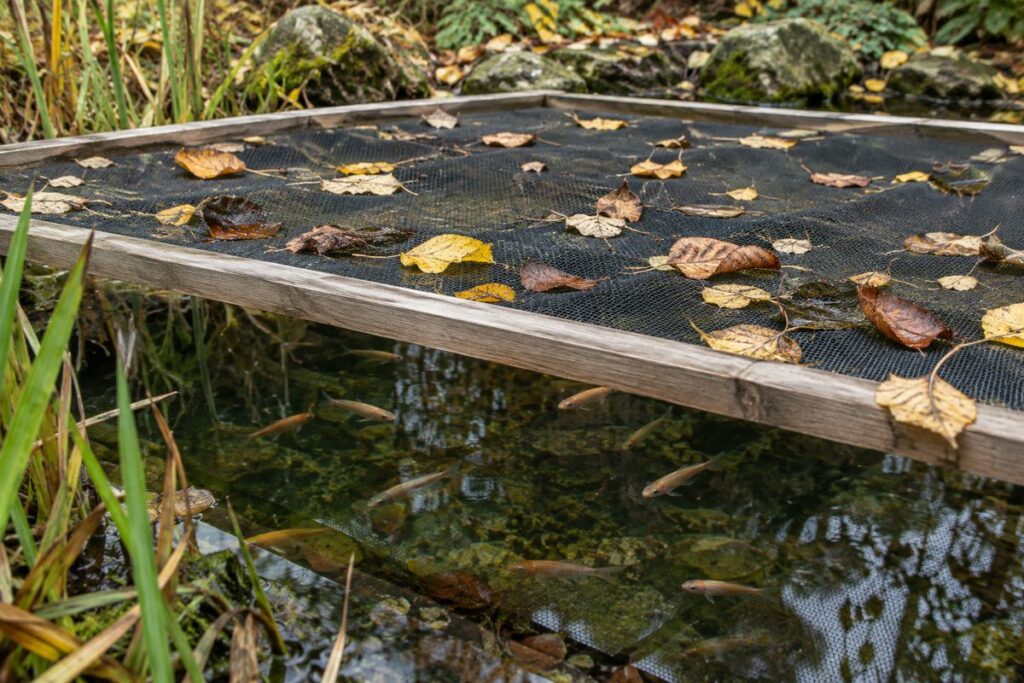 Fijnmazig net boven een kleine herfstvijver met bladeren op de maas