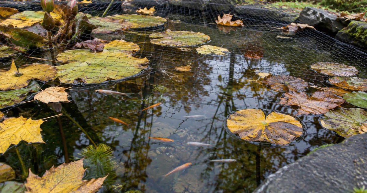 Vijver herfstklaar maken in oktober met een fijnmazig net boven het water